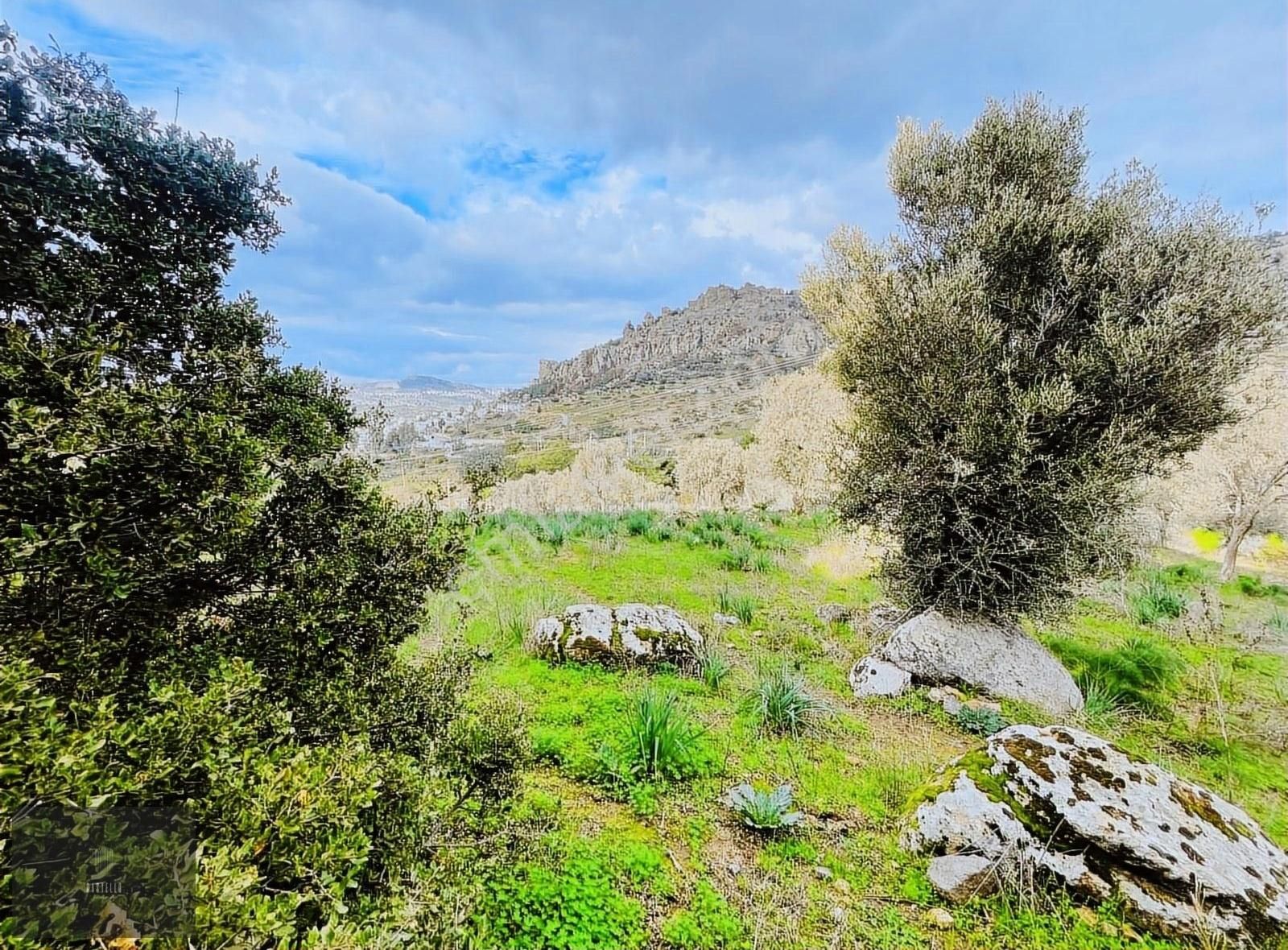 Gündoğan'da Satılık Yatırımlık Arazi - Görsel 2