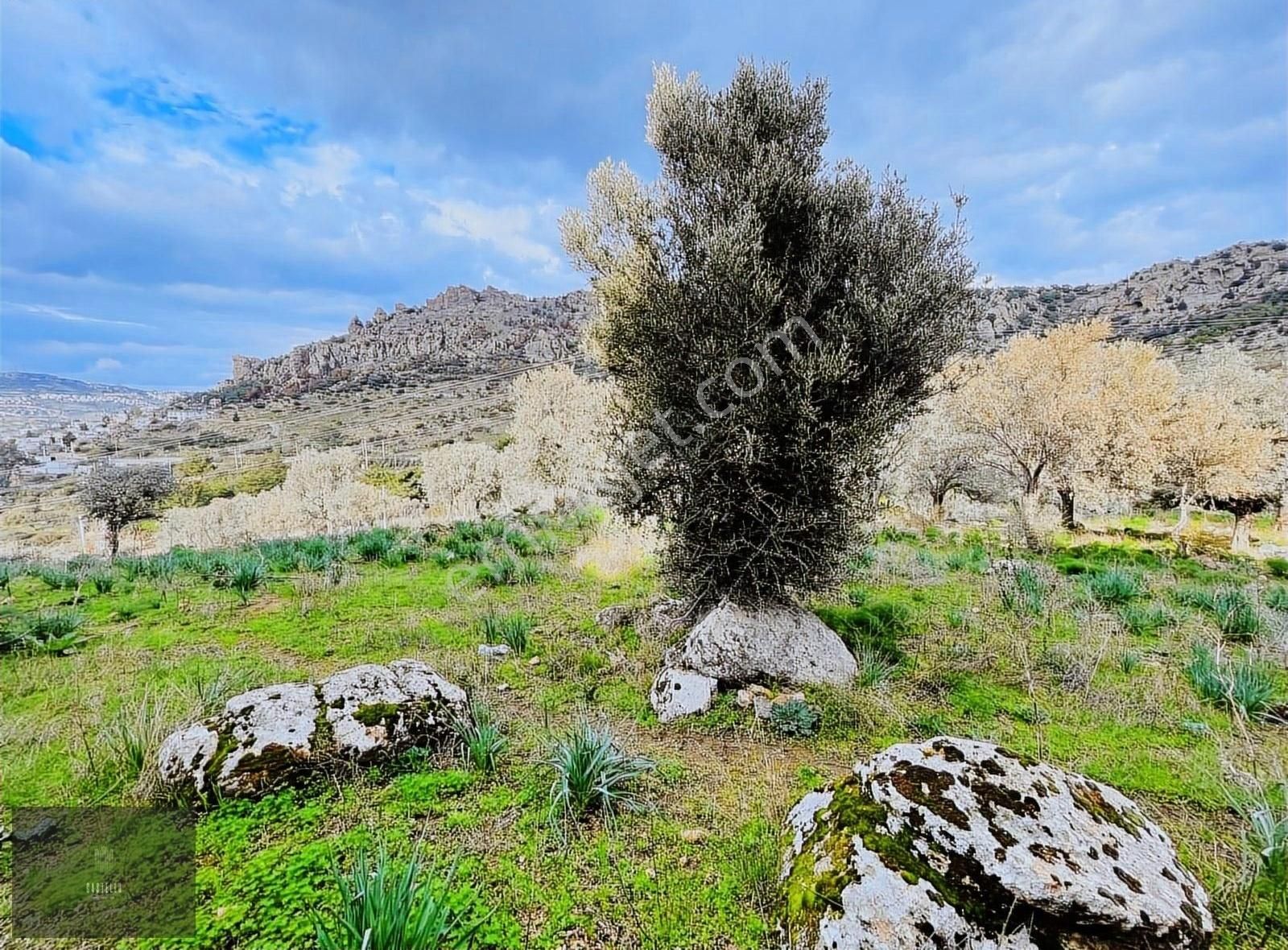 Gündoğan'da Satılık Yatırımlık Arazi - Görsel 5