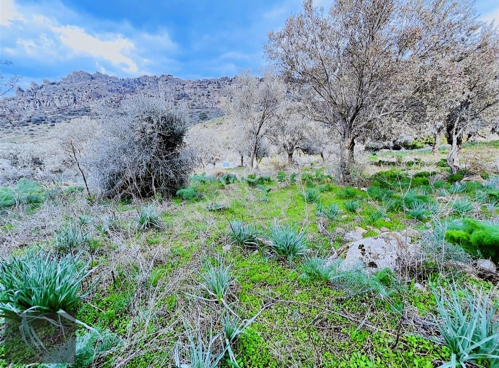 Gündoğan'da Satılık Yatırımlık Arazi - Görsel 9