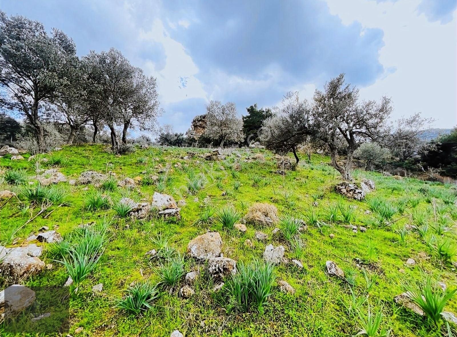 Gündoğan'da Satılık Yatırımlık Arazi - Görsel 14