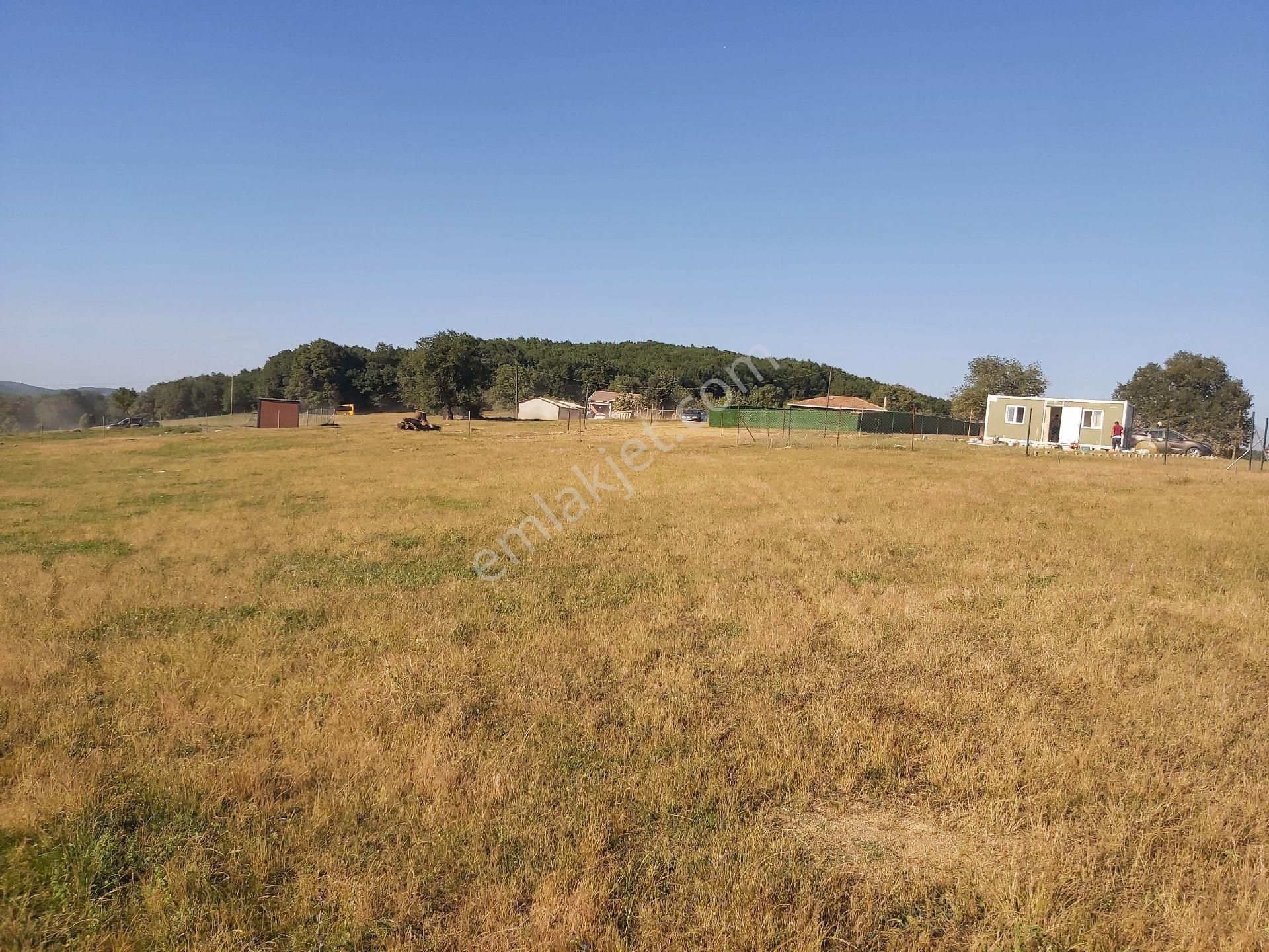 Gebze Denizli Satılık Konut İmarlı Sahibinden Satılık Gebze Denizli 3520 M² Konut İmarlı Tek Tapu Arsa