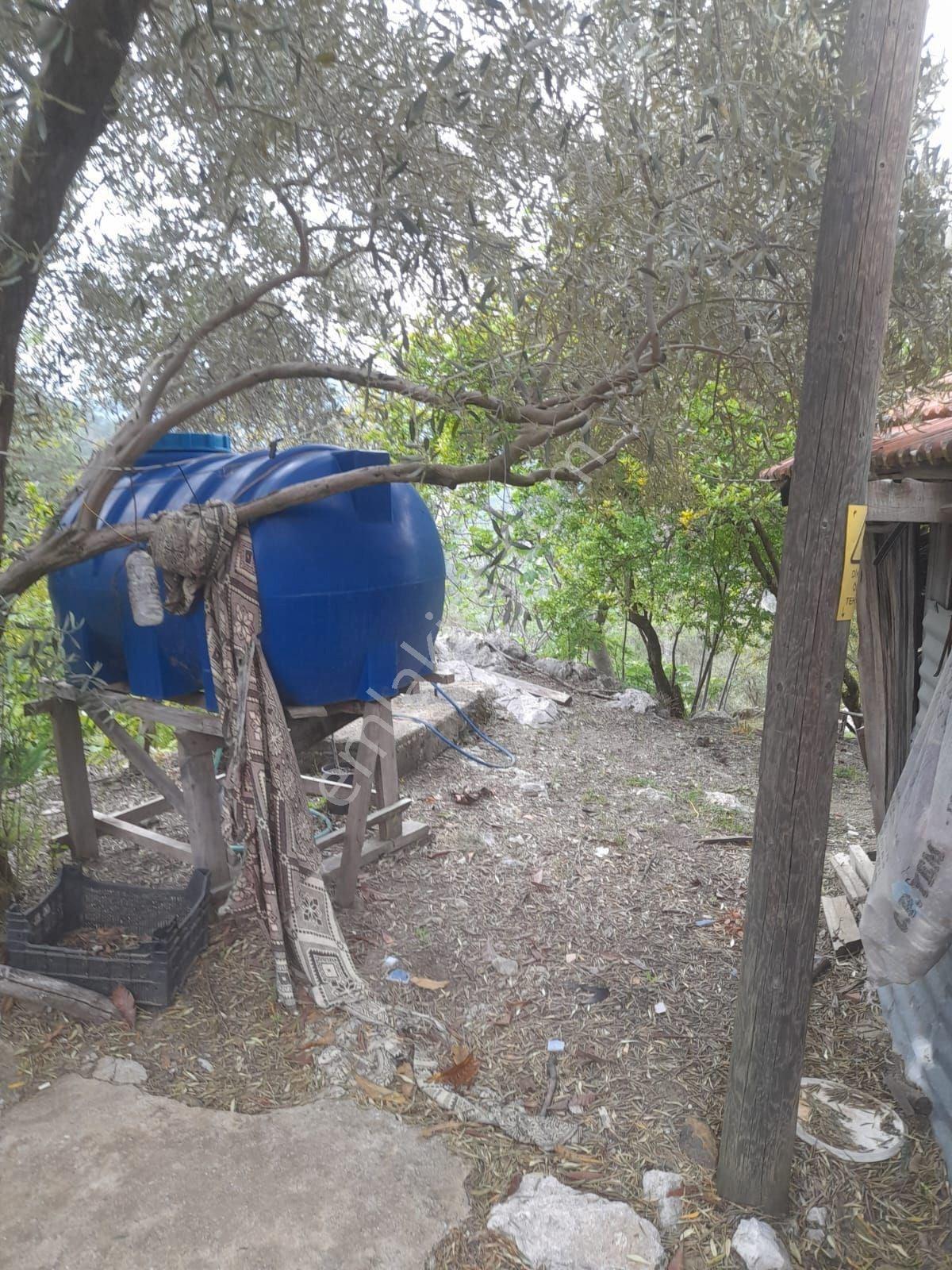 Dalaman Narlıda Satılık 8506 M2 Bahçe Ve Köyevi - Görsel 22
