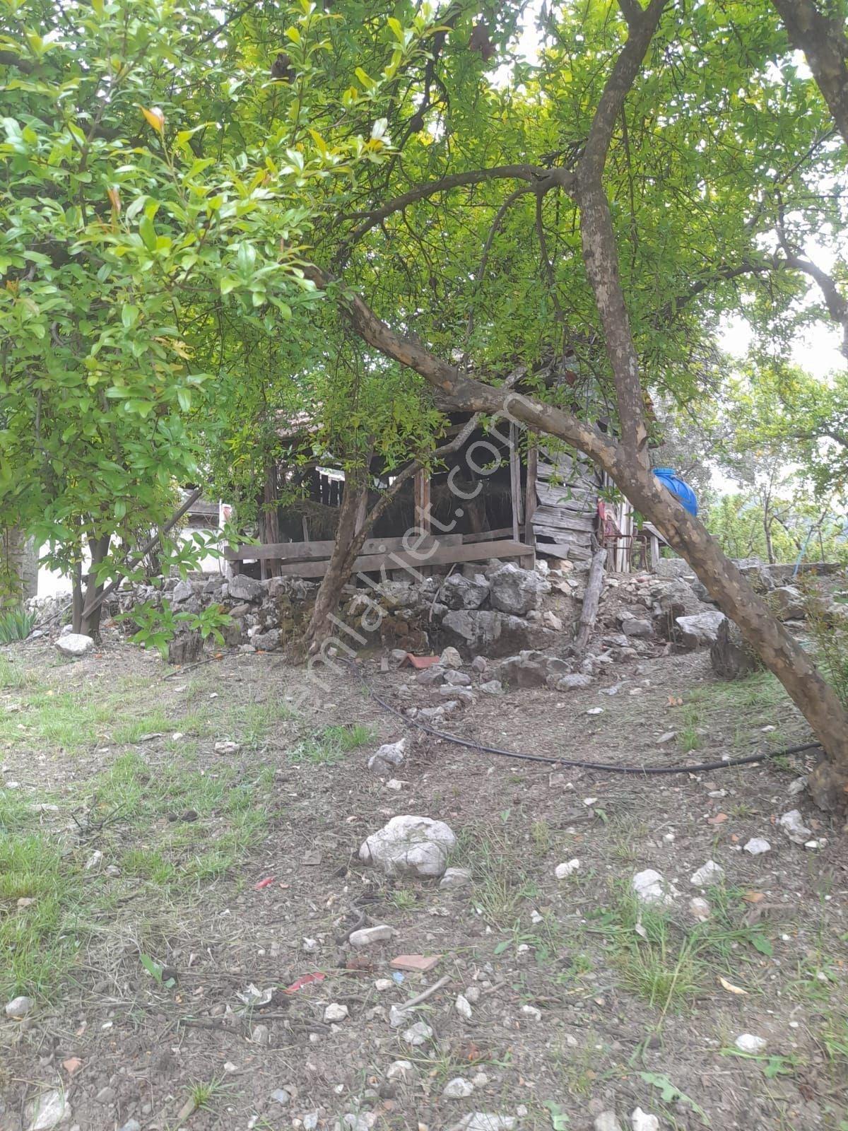 Dalaman Narlıda Satılık 8506 M2 Bahçe Ve Köyevi - Görsel 6