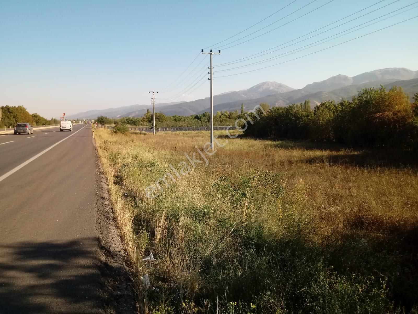 Sultandağı Yeşilçiftlik Bld. (Aşağı) Satılık Tarla Afyon - Konya Yolu Üzerinde Müstakil Tapu Satılık Bahçe