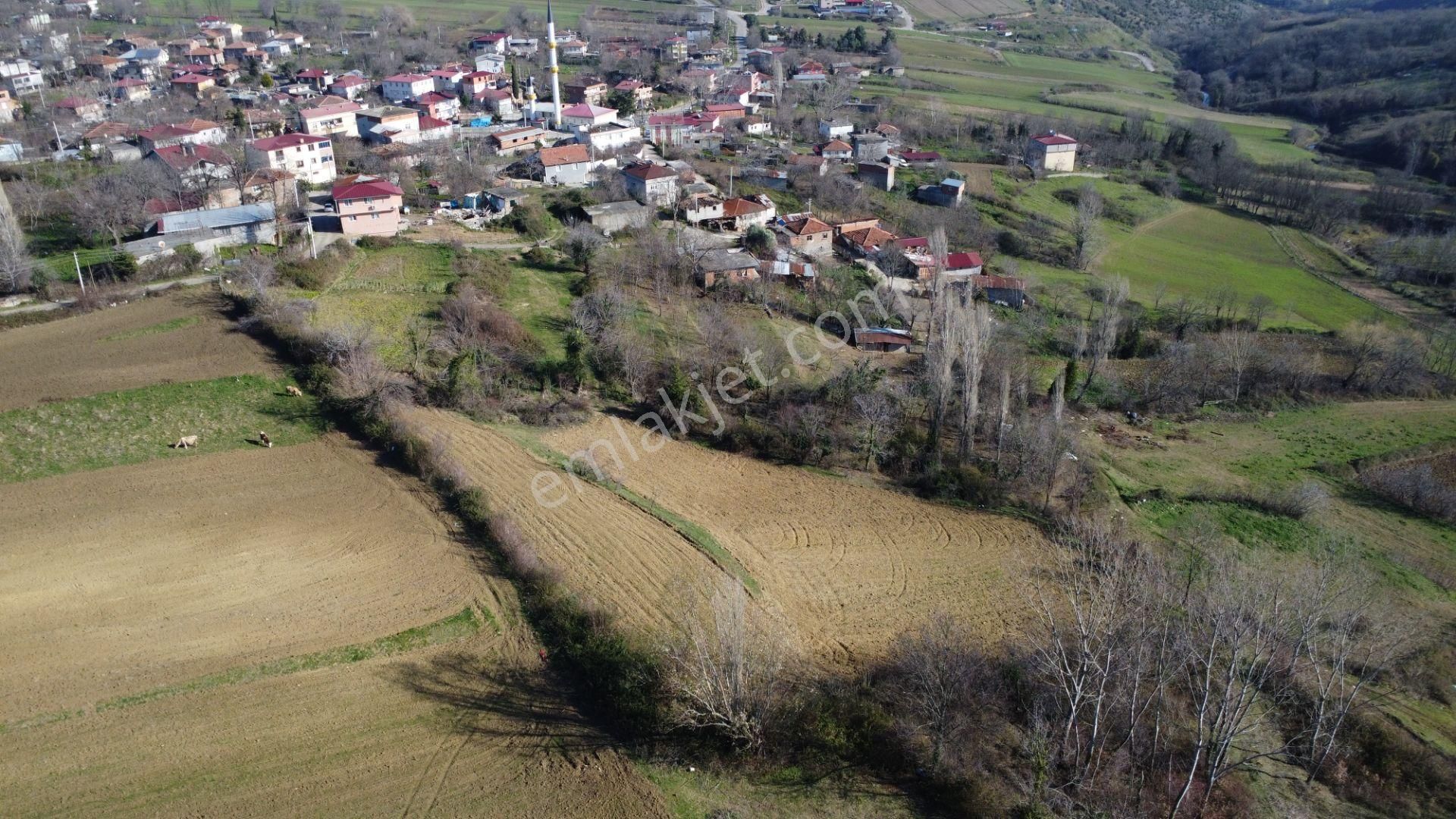 Atakum Alanlı Satılık Tarla Mentis'den Alanlı Merkez Camii Yanında 6863m² Tarla İçinde 307m² Satılık Hisse