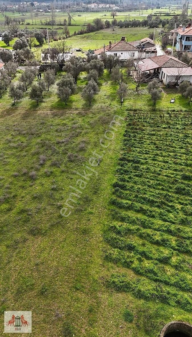 Muğla Yenice De Satılık 1053 M² İkiz Villa İmarlı Arsa - Görsel 5