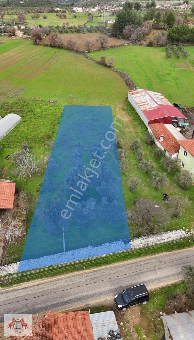 Menteşe Yenice Satılık Konut İmarlı Muğla Yenice De Satılık 1053 M² İkiz Villa İmarlı Arsa