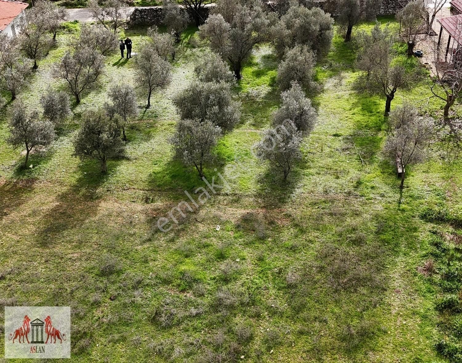 Muğla Yenice De Satılık 1053 M² İkiz Villa İmarlı Arsa - Görsel 4