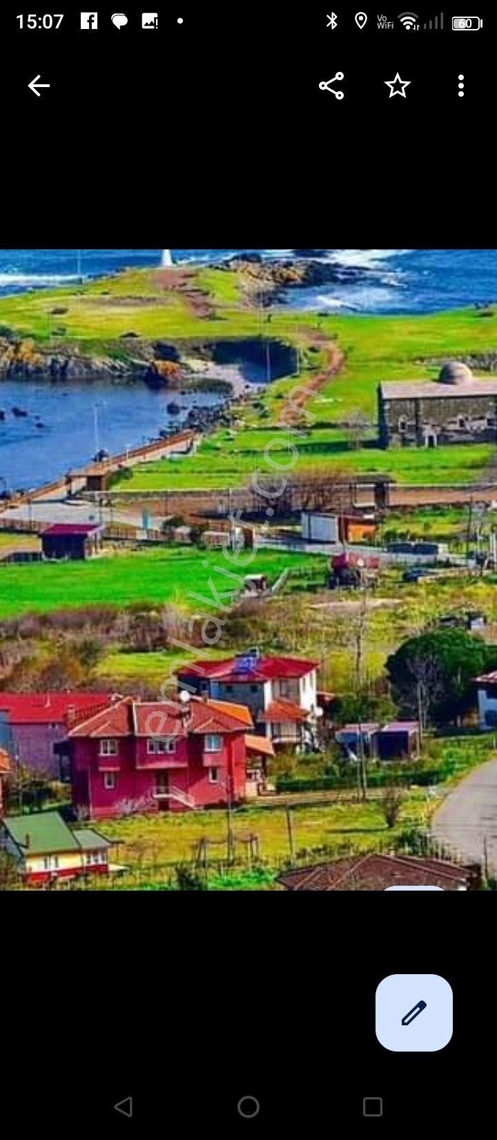 Perşembe Çaytepe Satılık Bağ & Bahçe Perşembe Caytepede Mahallesi Satılık İmarlı Fındık Bahçesi