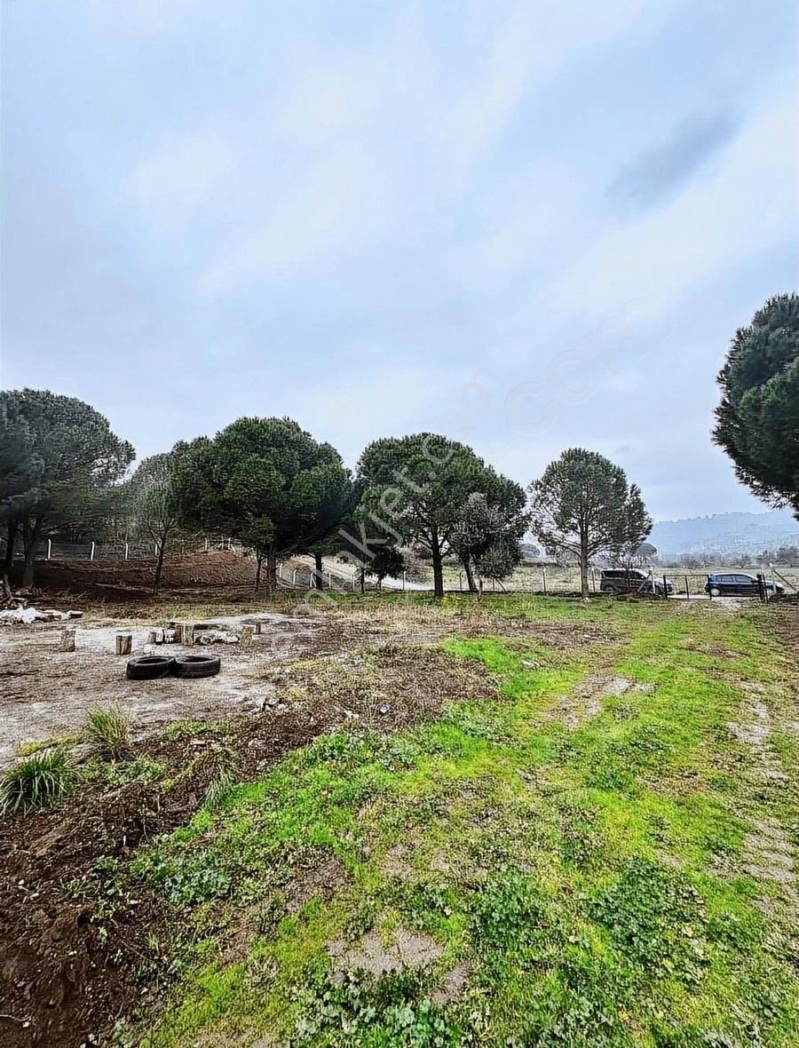 Bergama Selçuk Satılık Bağ & Bahçe Bergama Kozak Yolunda Kale Manzaralı Satılık Arazi