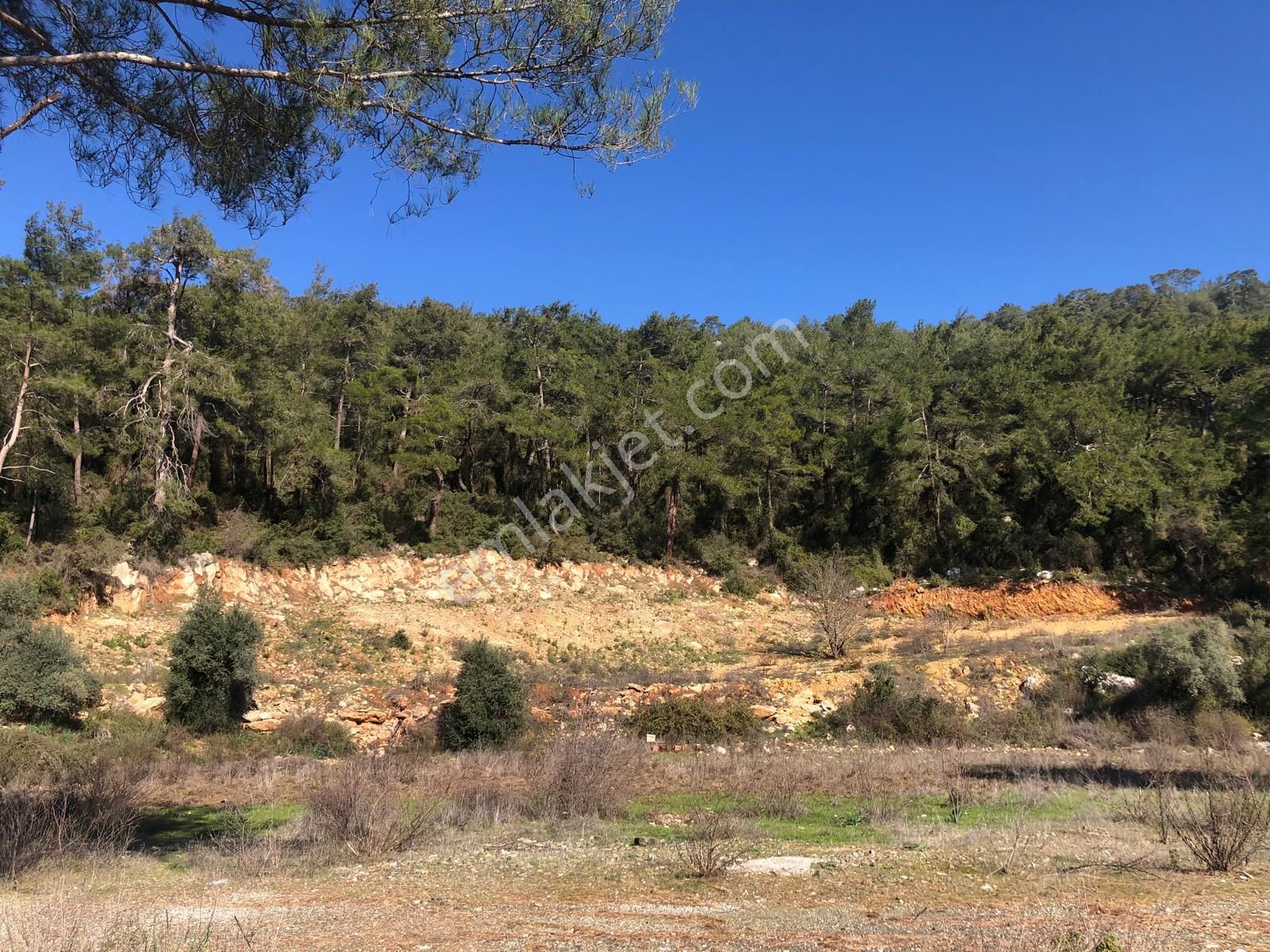 Muğla Ula Gökçe’de Fırsat Arazi - Görsel 7