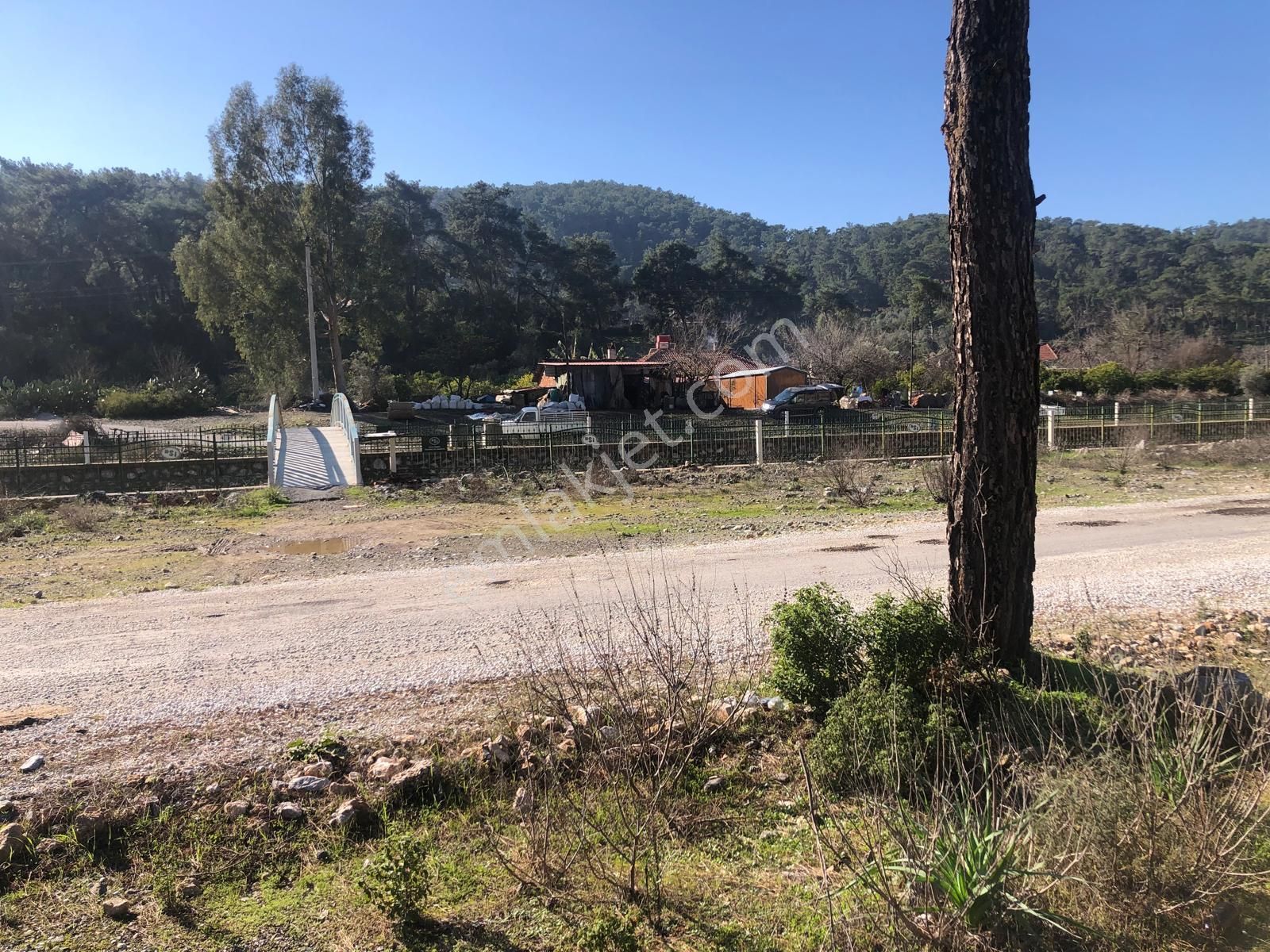 Muğla Ula Gökçe’de Fırsat Arazi - Görsel 6