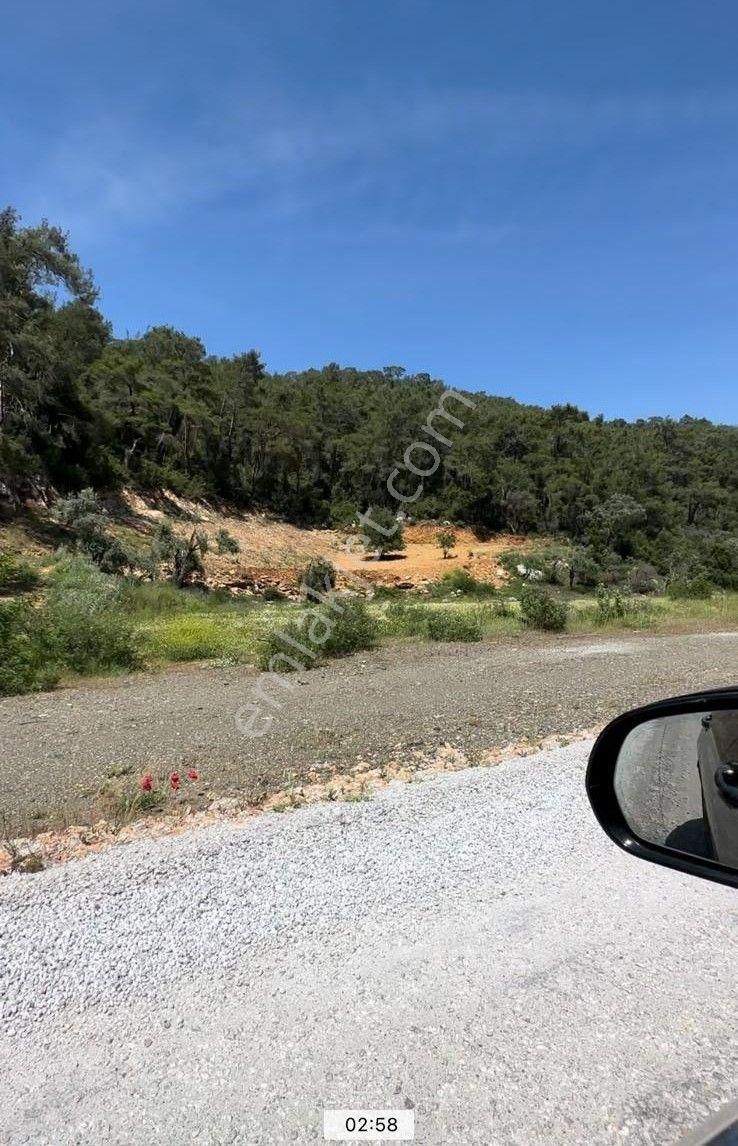 Muğla Ula Gökçe’de Fırsat Arazi - Görsel 12