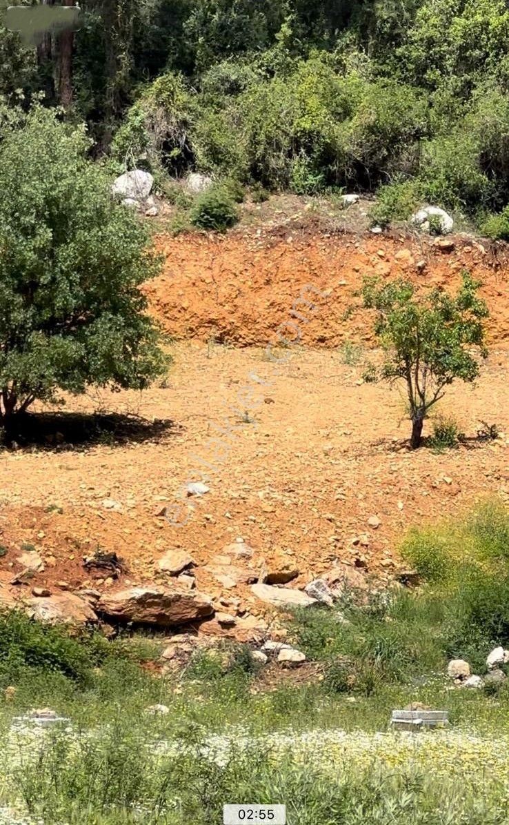 Muğla Ula Gökçe’de Fırsat Arazi - Görsel 10