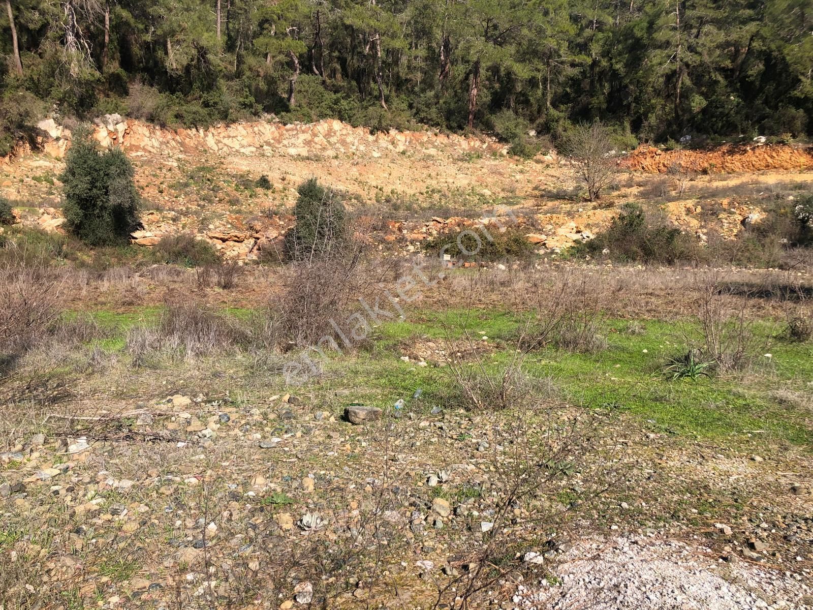 Muğla Ula Gökçe’de Fırsat Arazi - Görsel 4