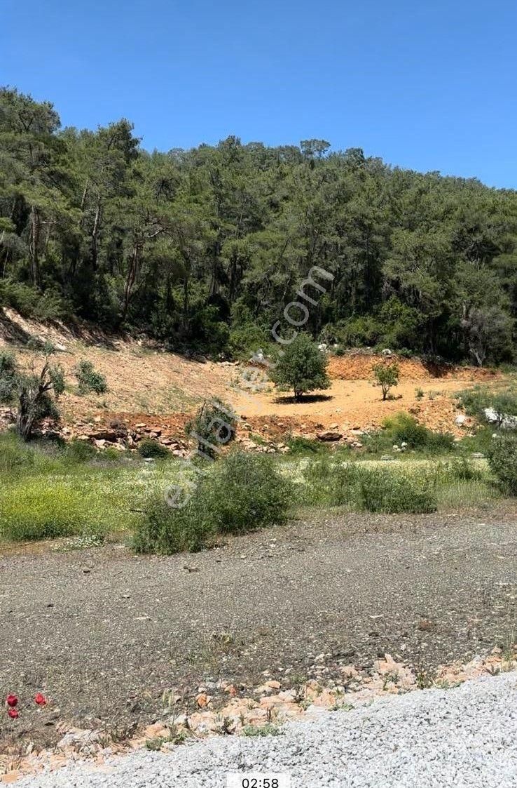 Muğla Ula Gökçe’de Fırsat Arazi - Görsel 8