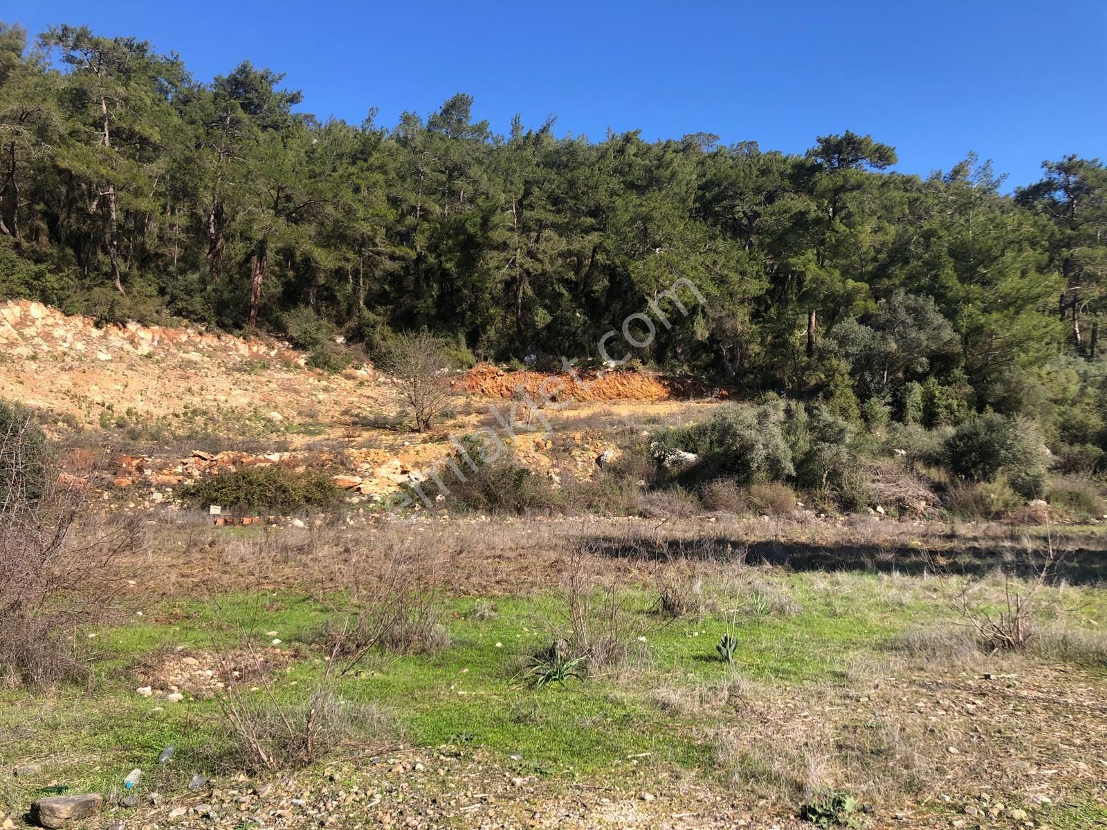 Muğla Ula Gökçe’de Fırsat Arazi - Görsel 2