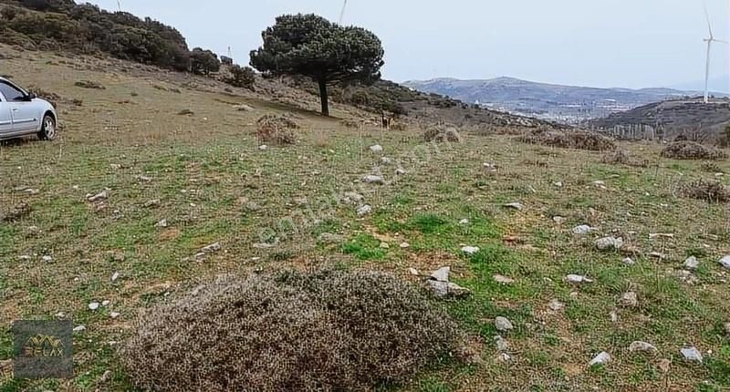 Bandırma Edincik Satılık Tarla Edincik Mahallesinde 3631 Metrekare Satılık Tarım Arazisi