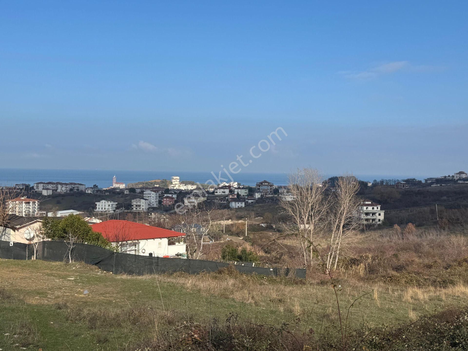 Çınarcık Koru Bld. (Cumhuriyet) Satılık Konut İmarlı Yalova Çınarcık Koru Deniz Manzaralı Konut İmarlı Arsa!. 342 M2