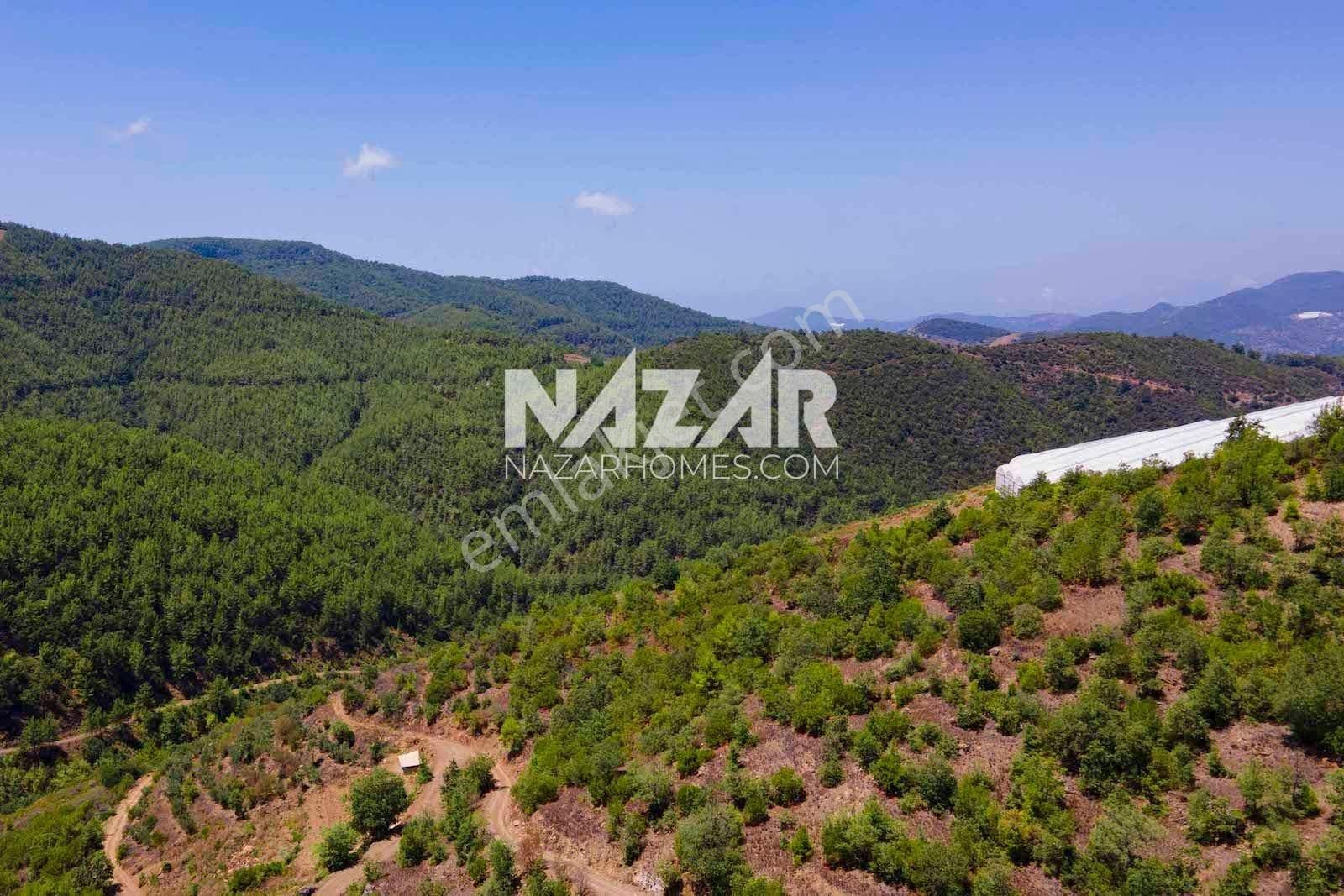 Alanya Çamlıca Satılık Tarla Alanya Çamlıca Köyü’nde Satılık 2.680 M² Tarla