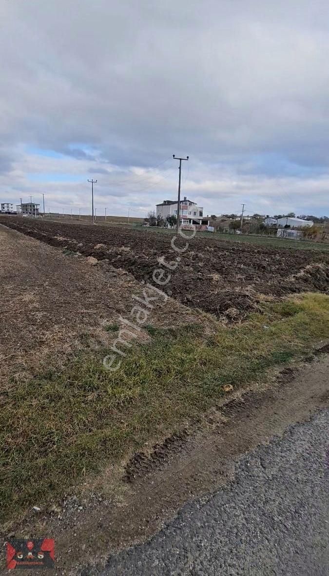 Marmaraereğlisi Yeniçiftlik Satılık Bağ & Bahçe Tekirdağ Marmaraereğli Yeniçiftlik'te 347m2 Hisseli Satılık Arsa