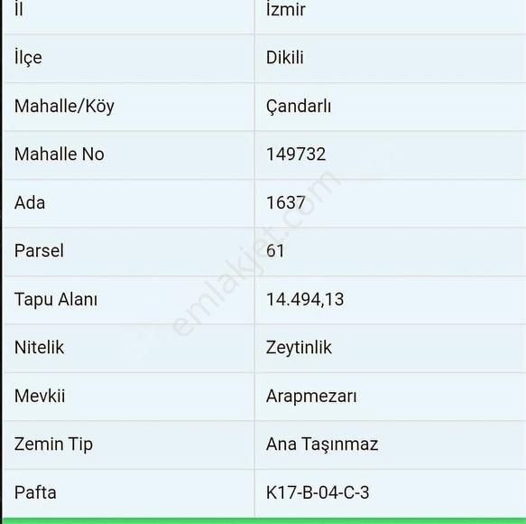 Dikili Çandarlı Satılık Tarla Çandarlı Da Deniz Manzaralı Zeytinli Tarla