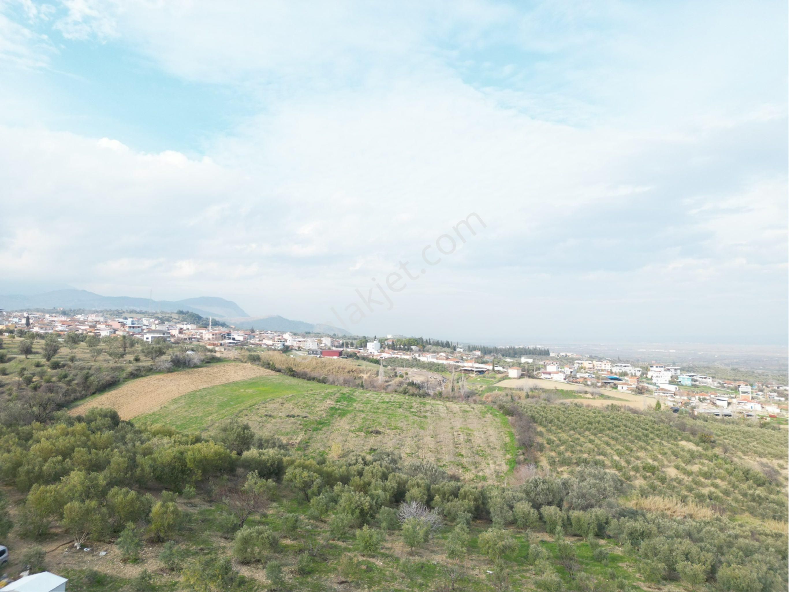 Beyaz Gayrimenkulden Karaoğlanlı 2.100 M2 Zeytinlik - Görsel 4
