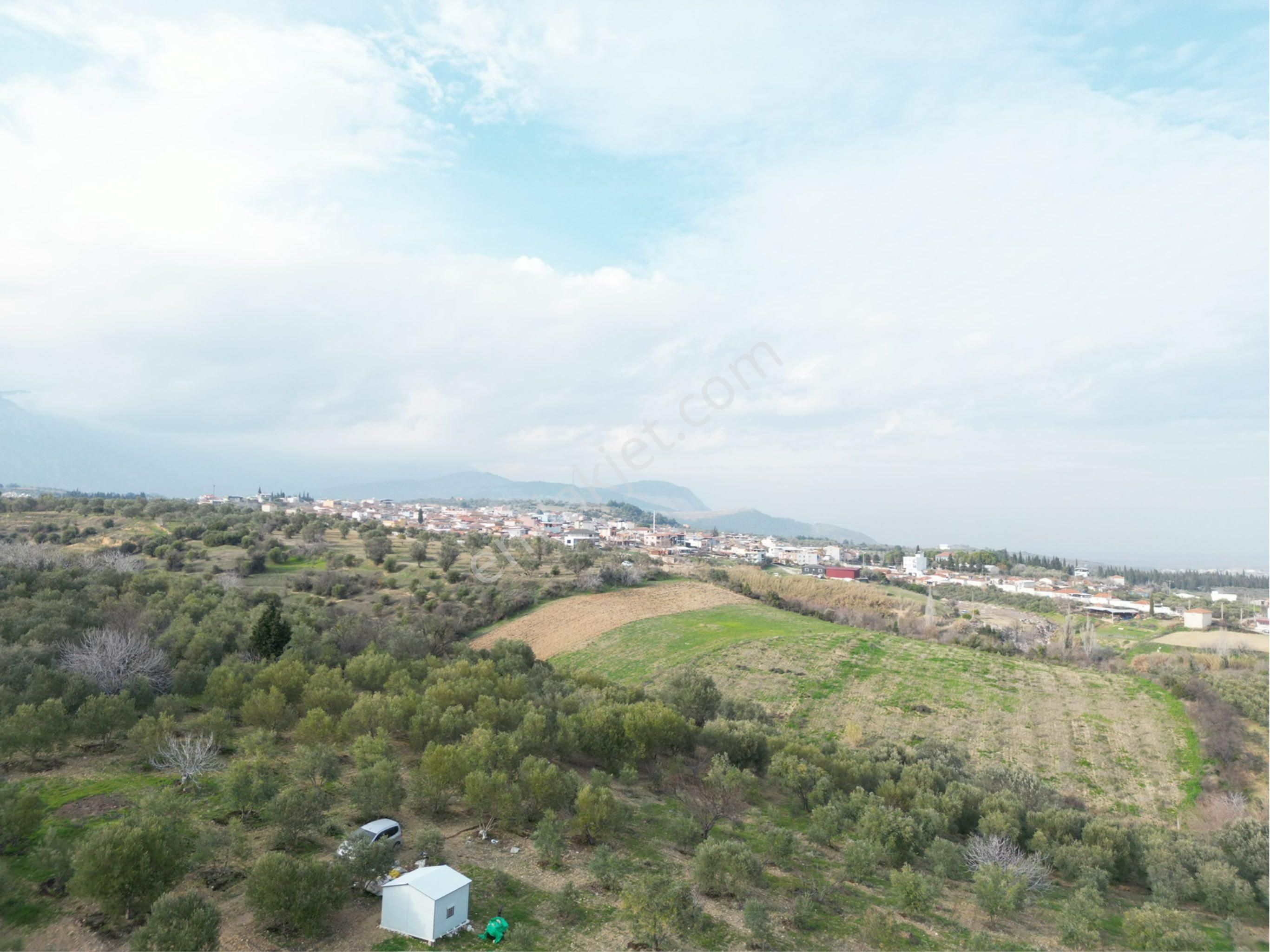 Beyaz Gayrimenkulden Karaoğlanlı 2.100 M2 Zeytinlik - Görsel 3