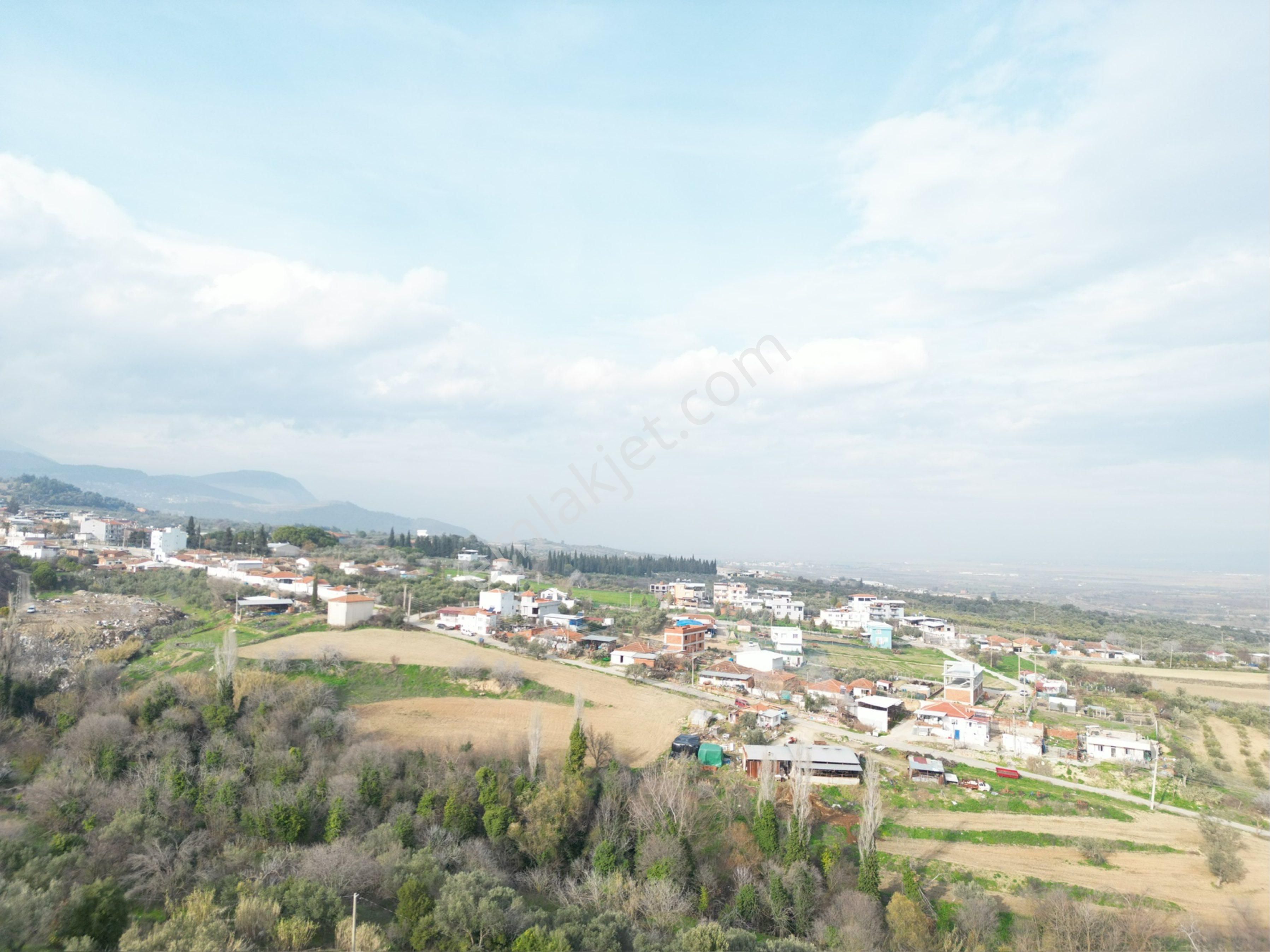 Beyaz Gayrimenkulden Karaoğlanlı 2.100 M2 Zeytinlik - Görsel 31