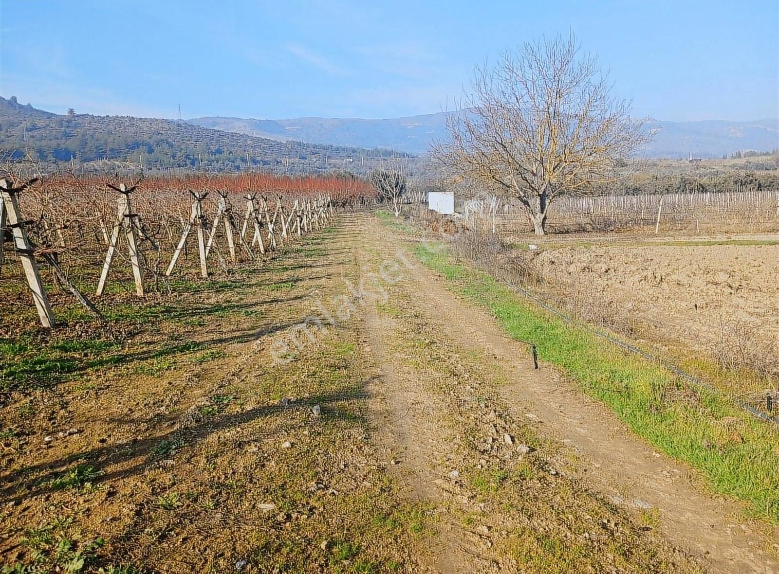 Pamukova Şeyhvarmaz Satılık Tarla Pamukova Şeyhvarmaz Mahallesinde 2893 M2 Yatırımlık Tarla