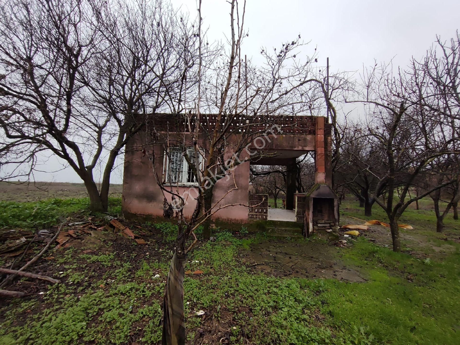 Şehzadeler Yeniharmandalı Satılık Tarla Satılık Manisa Yeni Harmandalı Bağ Ve Meyve Bahçesi 8112 M2