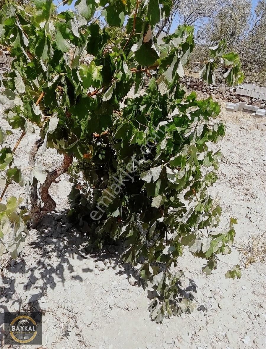Baykal'dan İncesu Hamurcu 1,734 M2 Tek Tapu Evli Bağ - Görsel 7