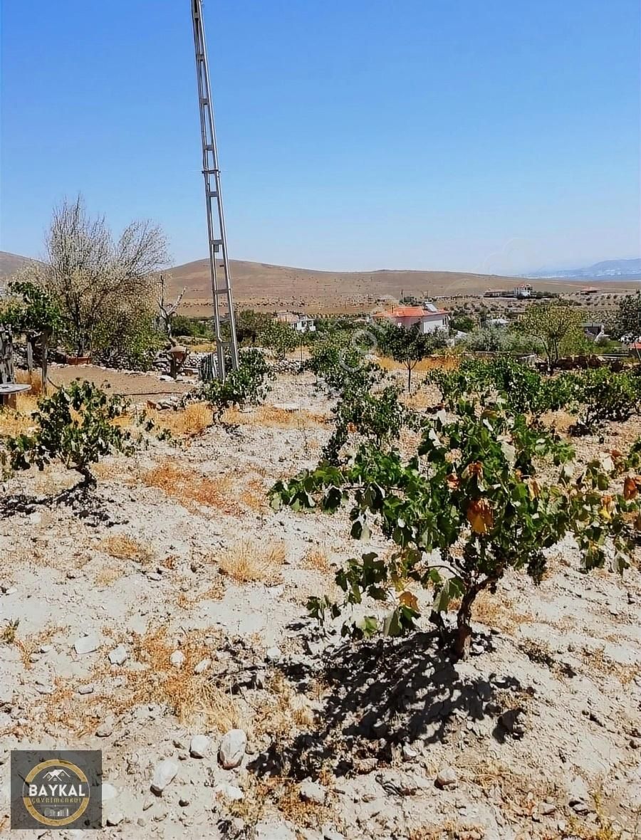 Baykal'dan İncesu Hamurcu 1,734 M2 Tek Tapu Evli Bağ - Görsel 8