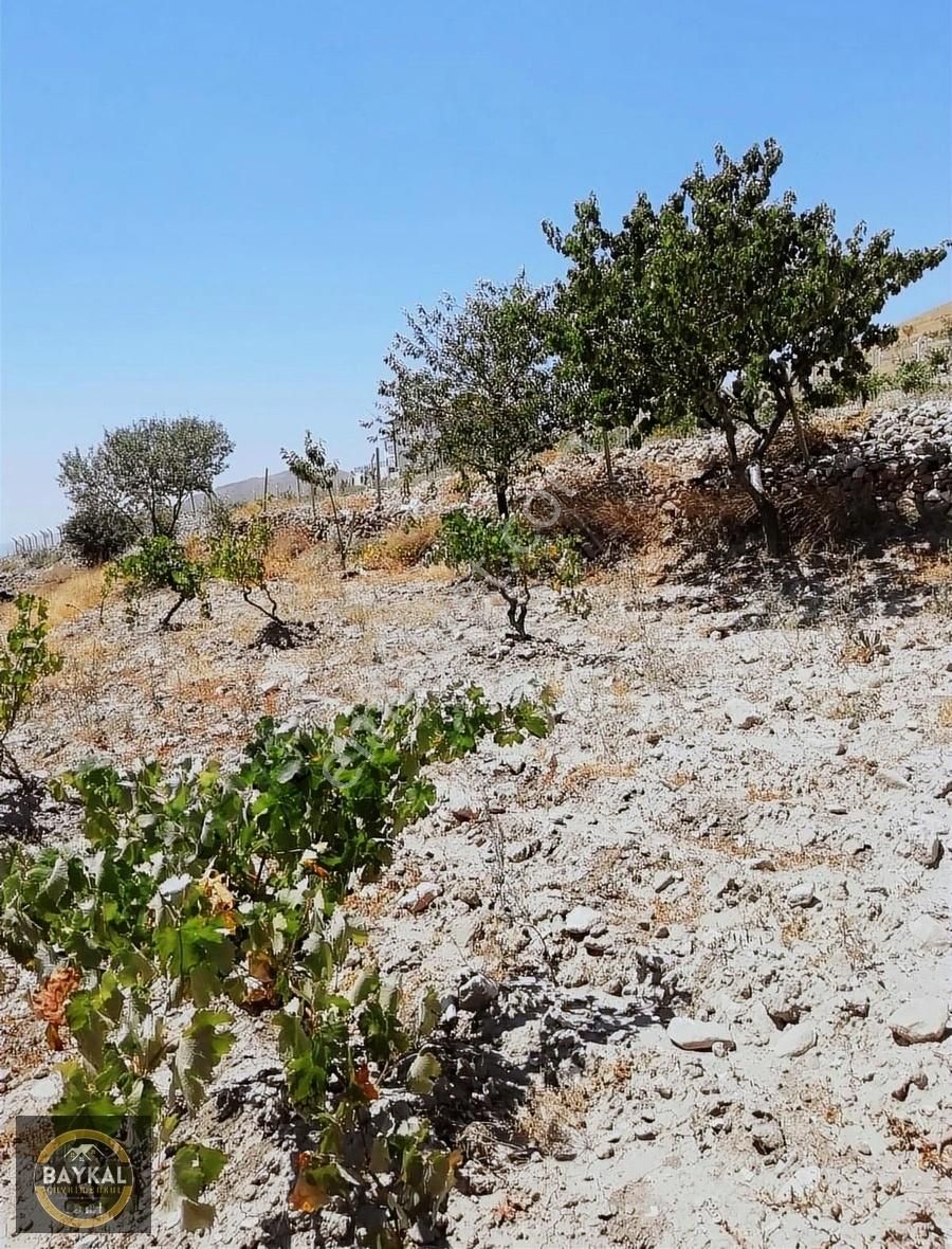 Baykal'dan İncesu Hamurcu 1,734 M2 Tek Tapu Evli Bağ - Görsel 9