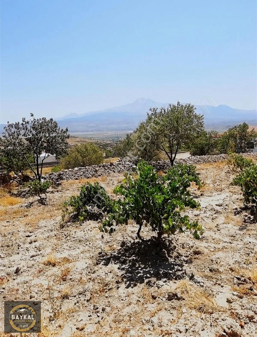 Baykal'dan İncesu Hamurcu 1,734 M2 Tek Tapu Evli Bağ - Görsel 3
