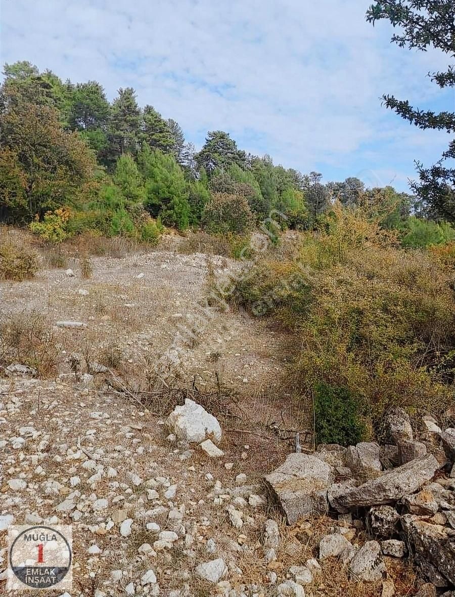 Menteşe Yeniköy Yerkesik Satılık Tarla Muğla Yerkesik Yeniköyde Satılık Tarla