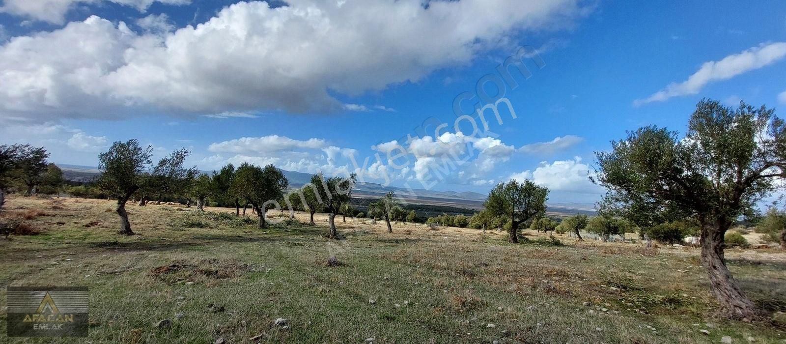 Bergama Zeytindağ Satılık Konut İmarlı Afacan Dan Yeni Yerleşim Alanında Deniz Manzaralı Satılık Arsa