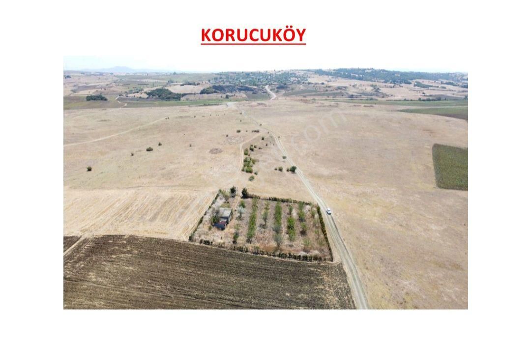 İpsala Korucu Köyü Satılık Tarla Edirne İpsala Korucuköy Satılık 2.755 M2