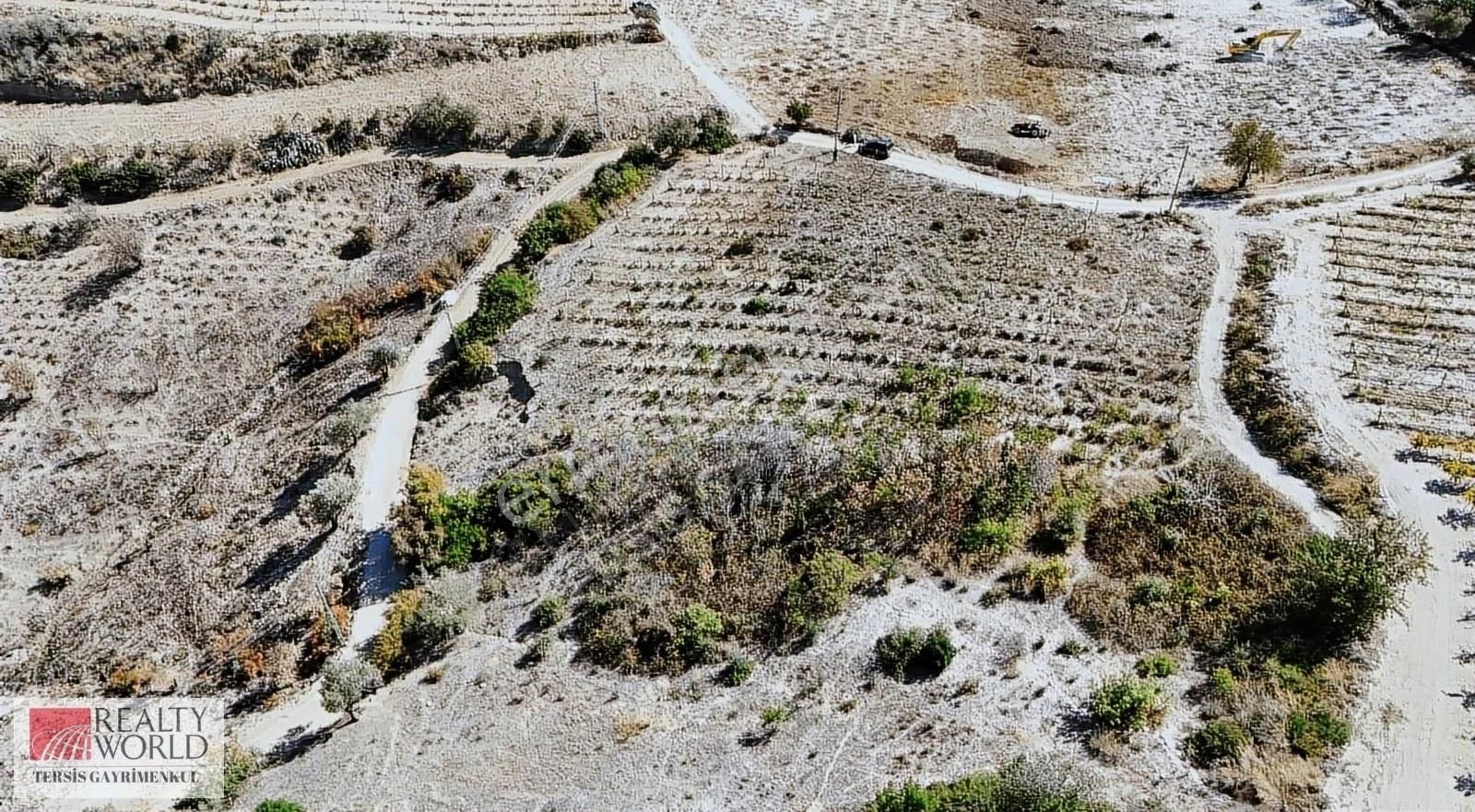 Tarsus Kerimler Satılık Bağ & Bahçe Rw Tersis'den Tarsus Kerimler'de Satılık Tarla