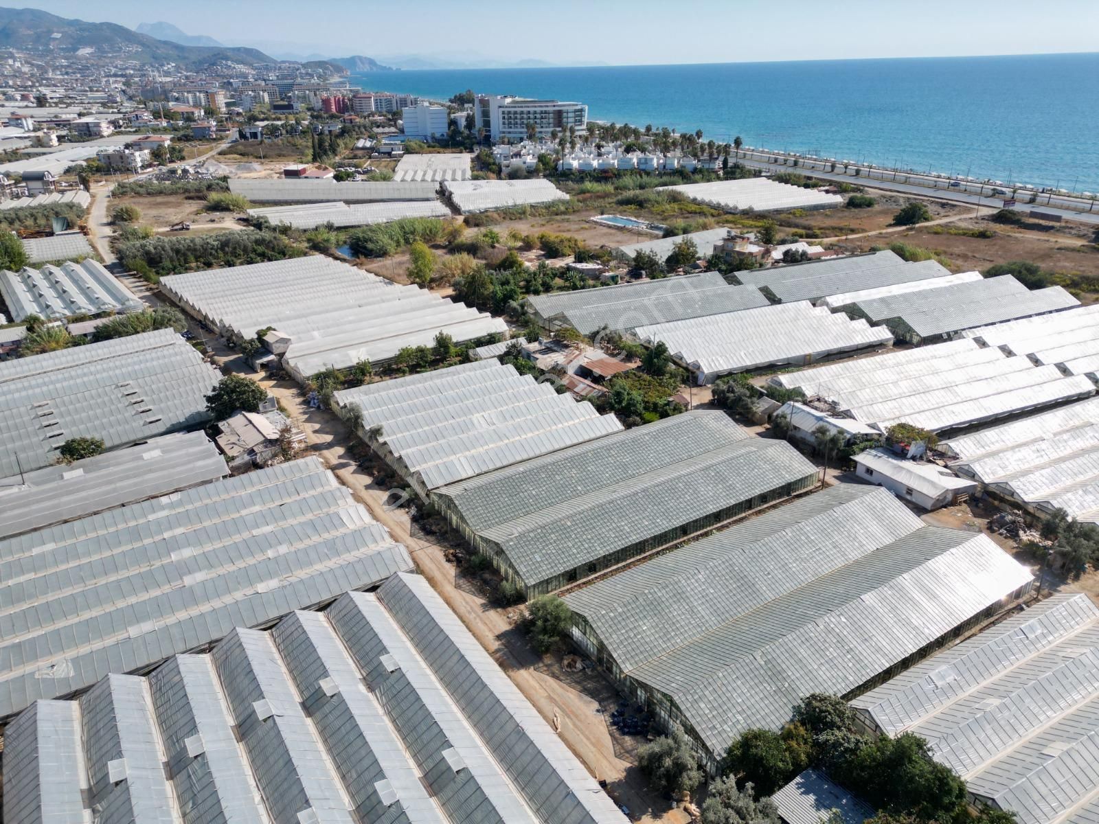 Payallar Da Satılık Tta Ve Konut İmarlı Arsa - Görsel 2