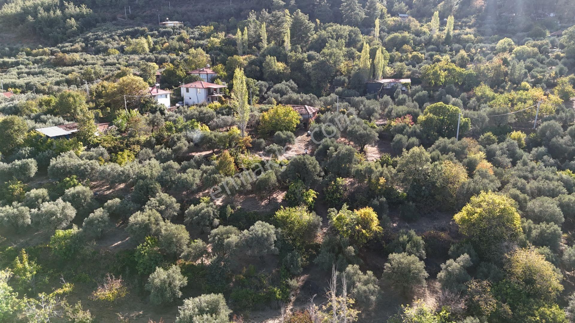 Aydın Karacasu Satılık Köy Evi Dönertaş Emlaktan Karacasu Yayla Evi