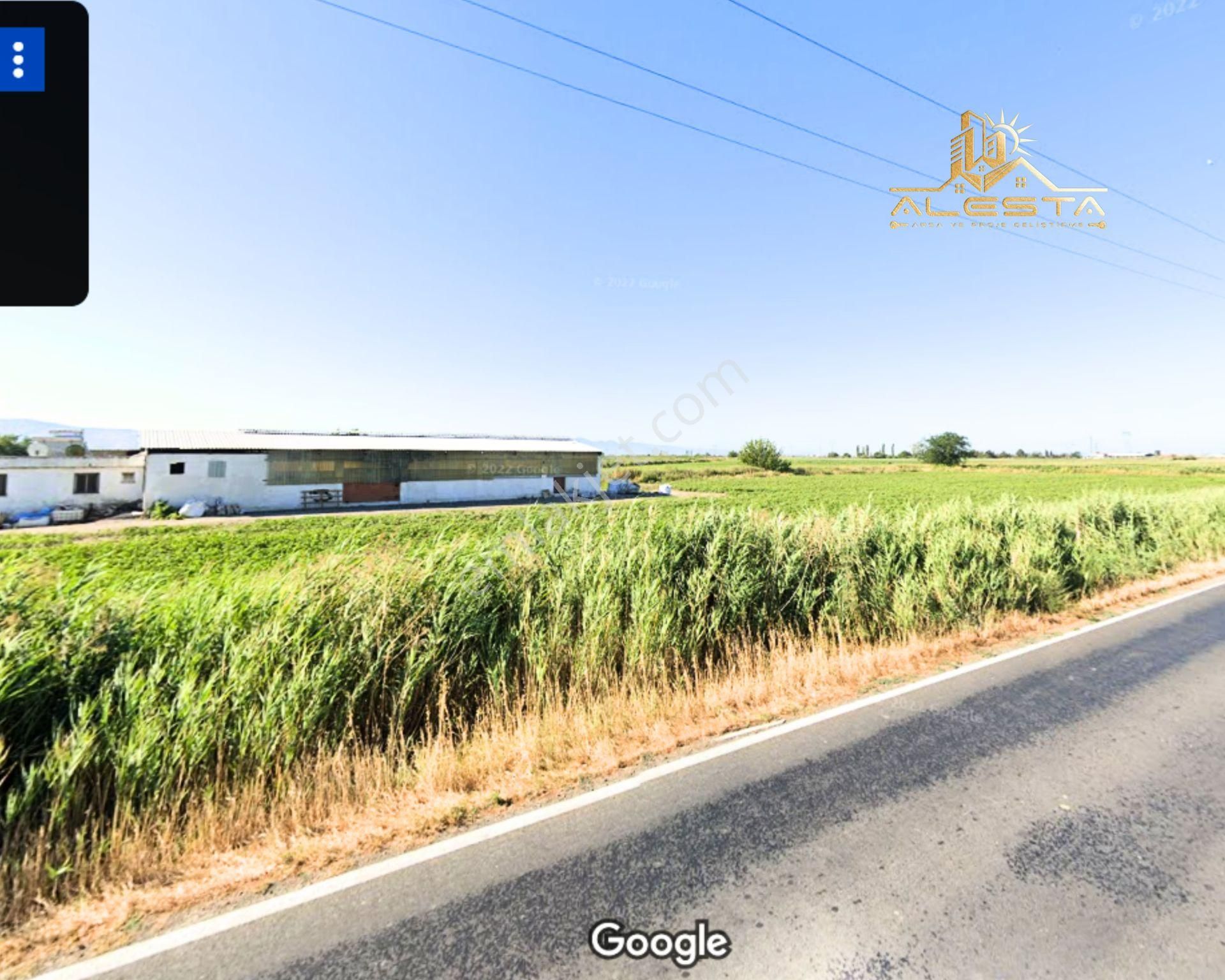 İzmir Menemen Maltepe Yoluna Cepheli 14.800m2 Trafolu Binası Olan Depoya Uygun Çiftlik Arazisi - Görsel 5