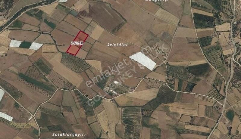 Seydikemer Seki Satılık Tarla Seki Merkeze 700 Metre Mesafede 10.157 M2 Önü Yol Düz Tarla