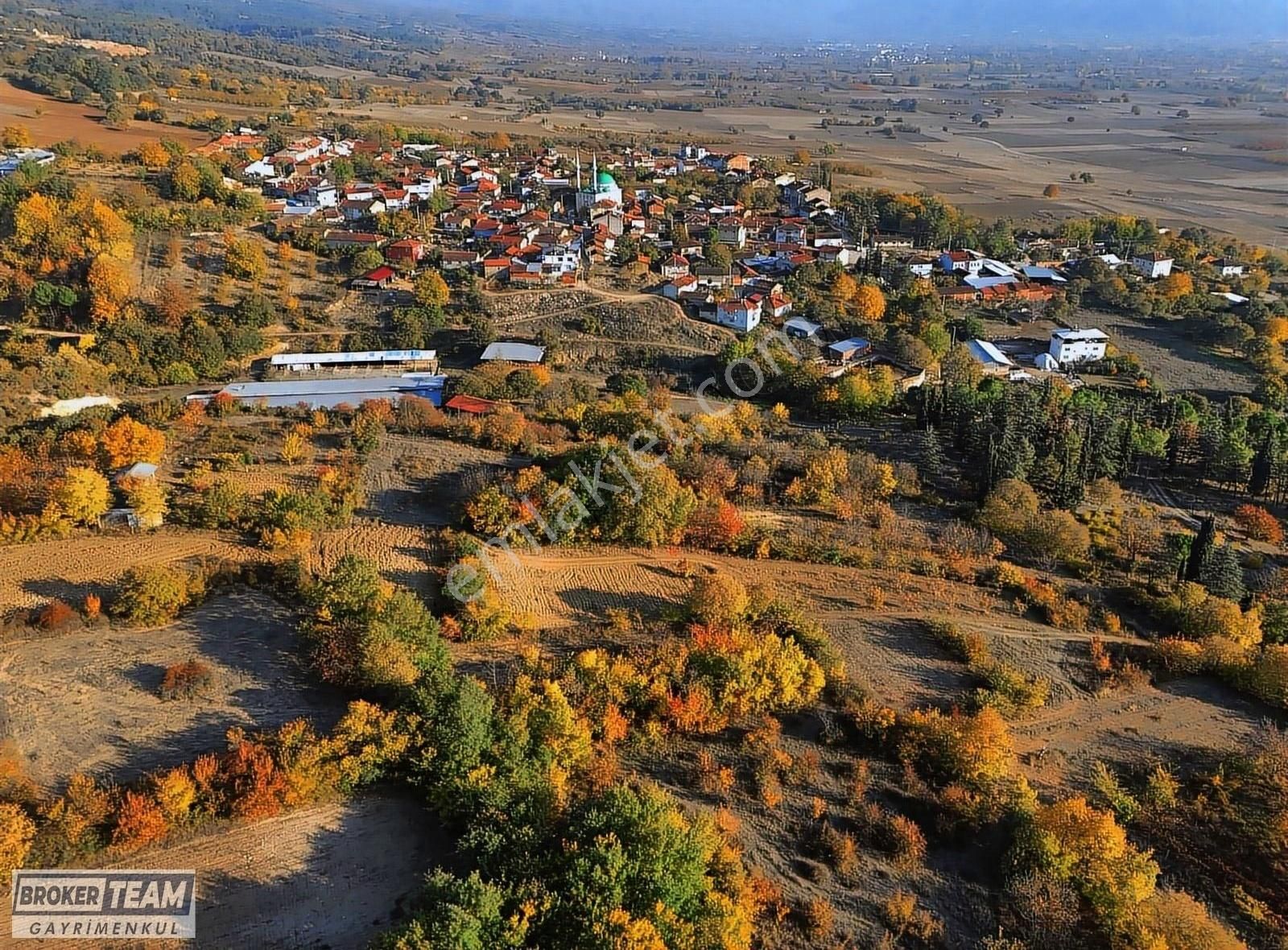 İnegöl Süpürtü Satılık Tarla İnegöl Süpürtü Tek Tapu 330 M2 Arazi