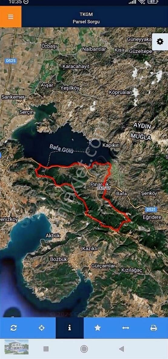 Milas Pınarcık Satılık Zeytinlik Muğla Milas Pınarcık Mahallesinde Satılık Zeytinlik