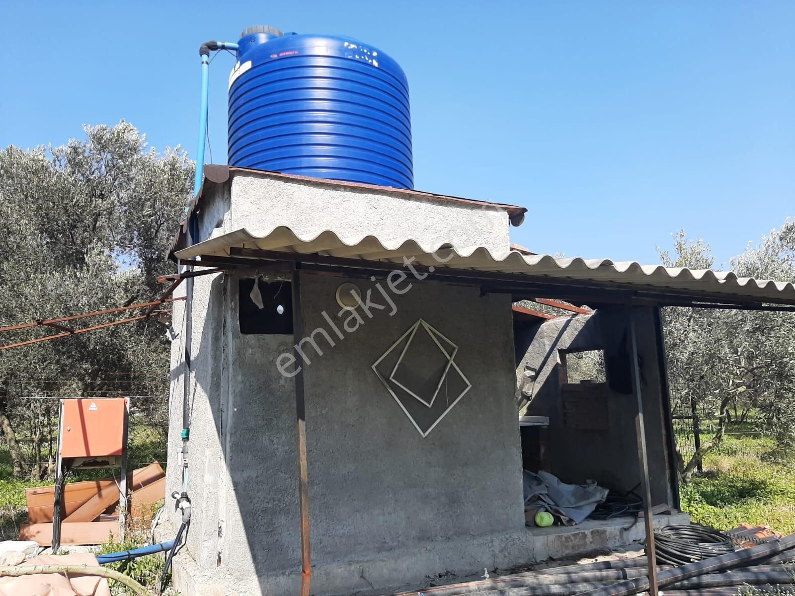 Dikili Güven Emlak'tan İsmetpaşa'da Satılık 18 Dönüm Tarla - Görsel 27