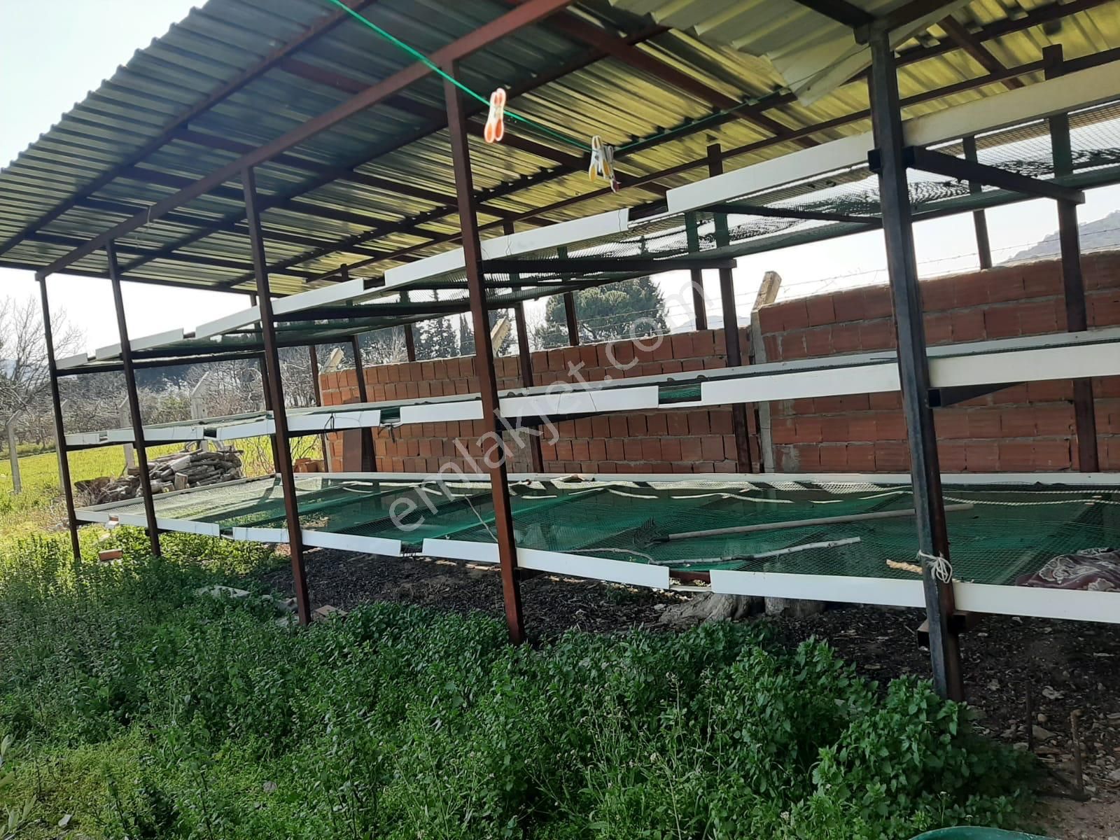 Dikili Güven Emlak'tan İsmetpaşa'da Satılık 18 Dönüm Tarla - Görsel 19