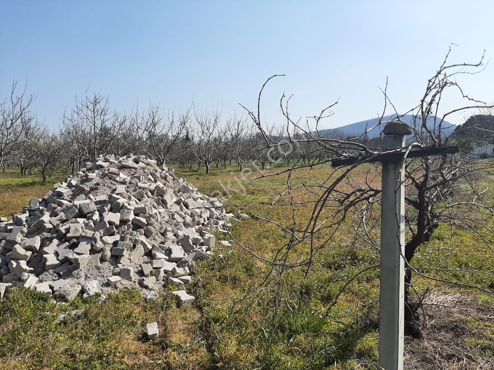 Dikili Güven Emlak'tan İsmetpaşa'da Satılık 18 Dönüm Tarla - Görsel 16