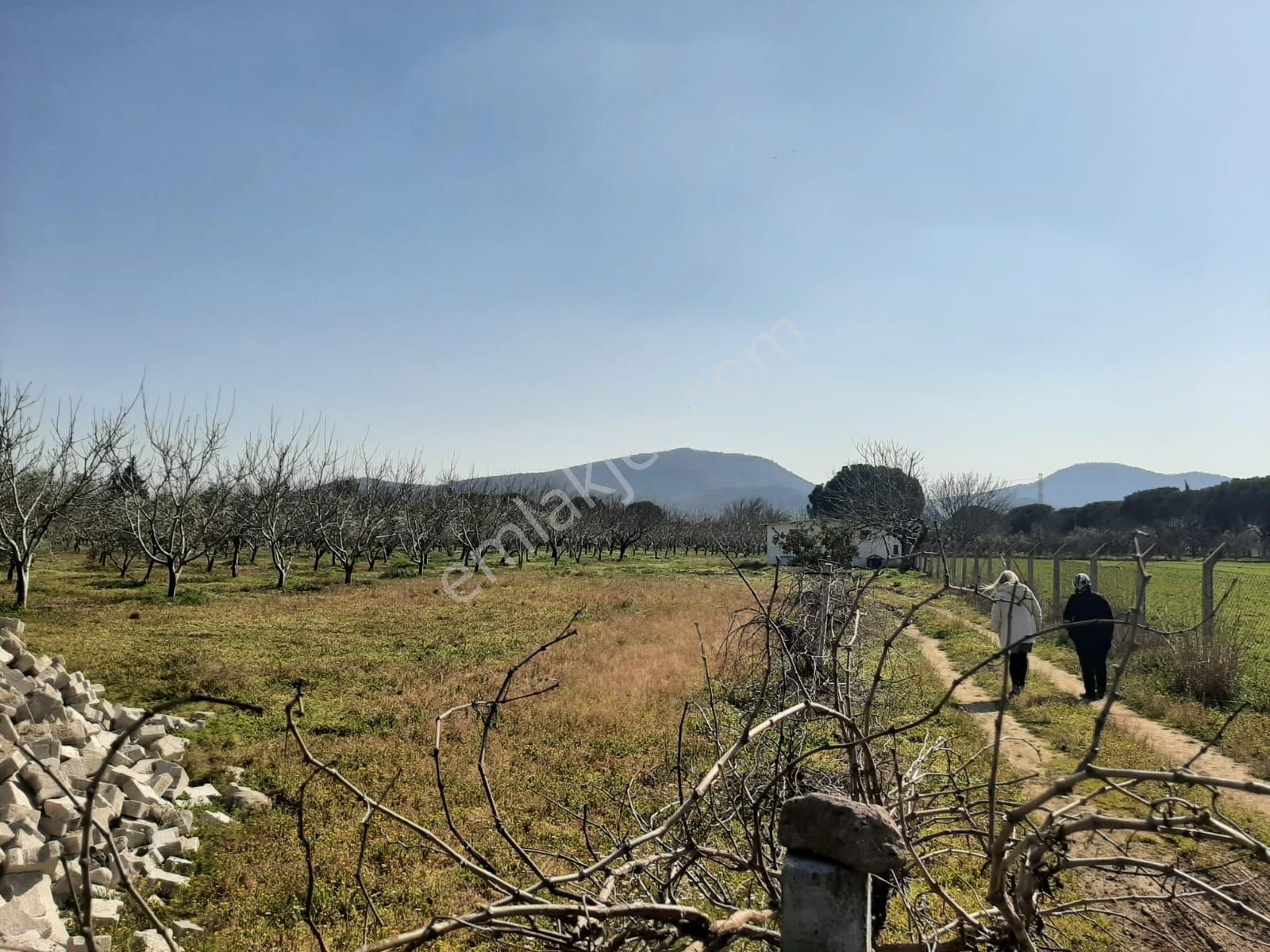 Dikili Güven Emlak'tan İsmetpaşa'da Satılık 18 Dönüm Tarla - Görsel 25