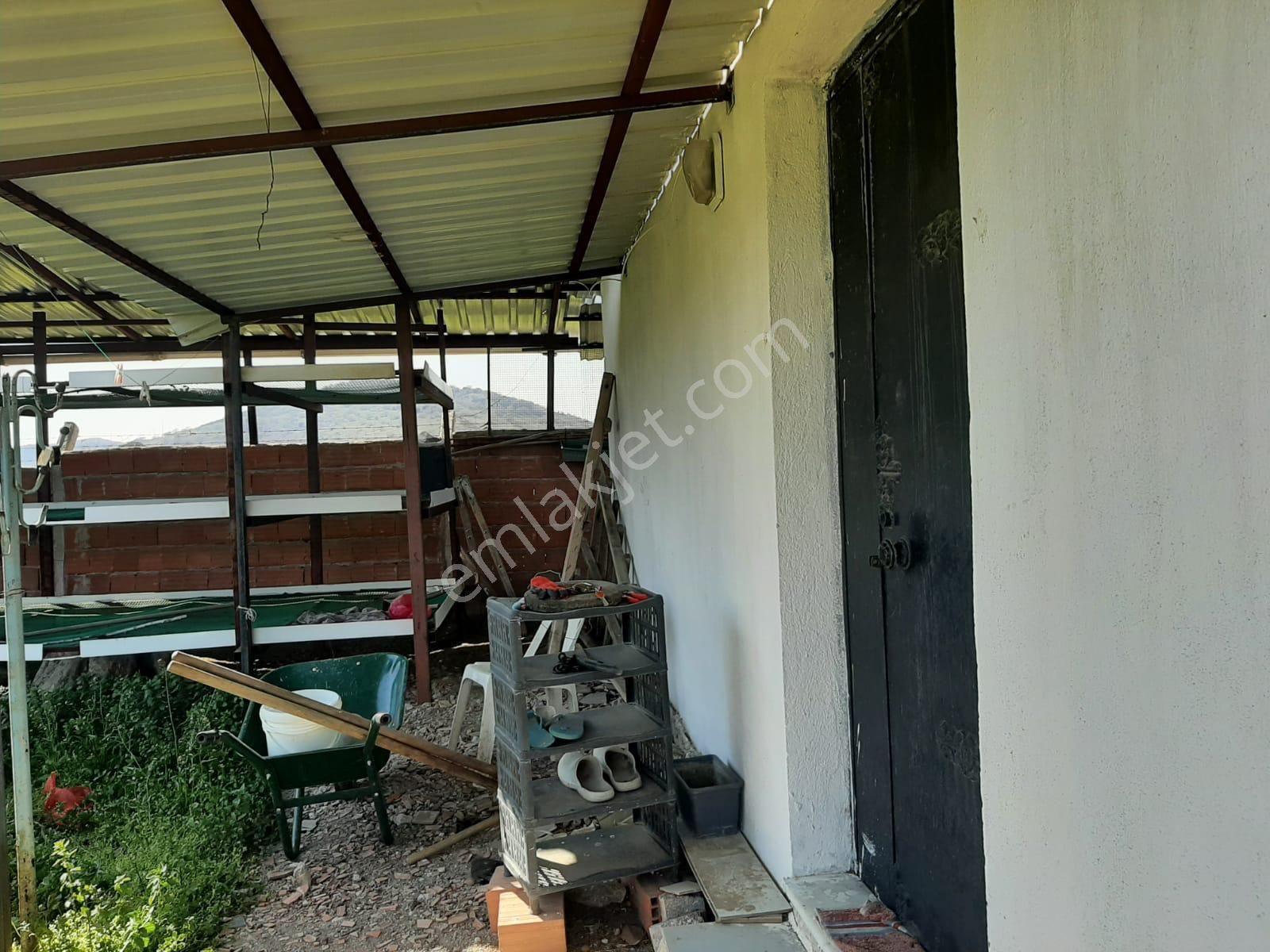 Dikili Güven Emlak'tan İsmetpaşa'da Satılık 18 Dönüm Tarla - Görsel 23